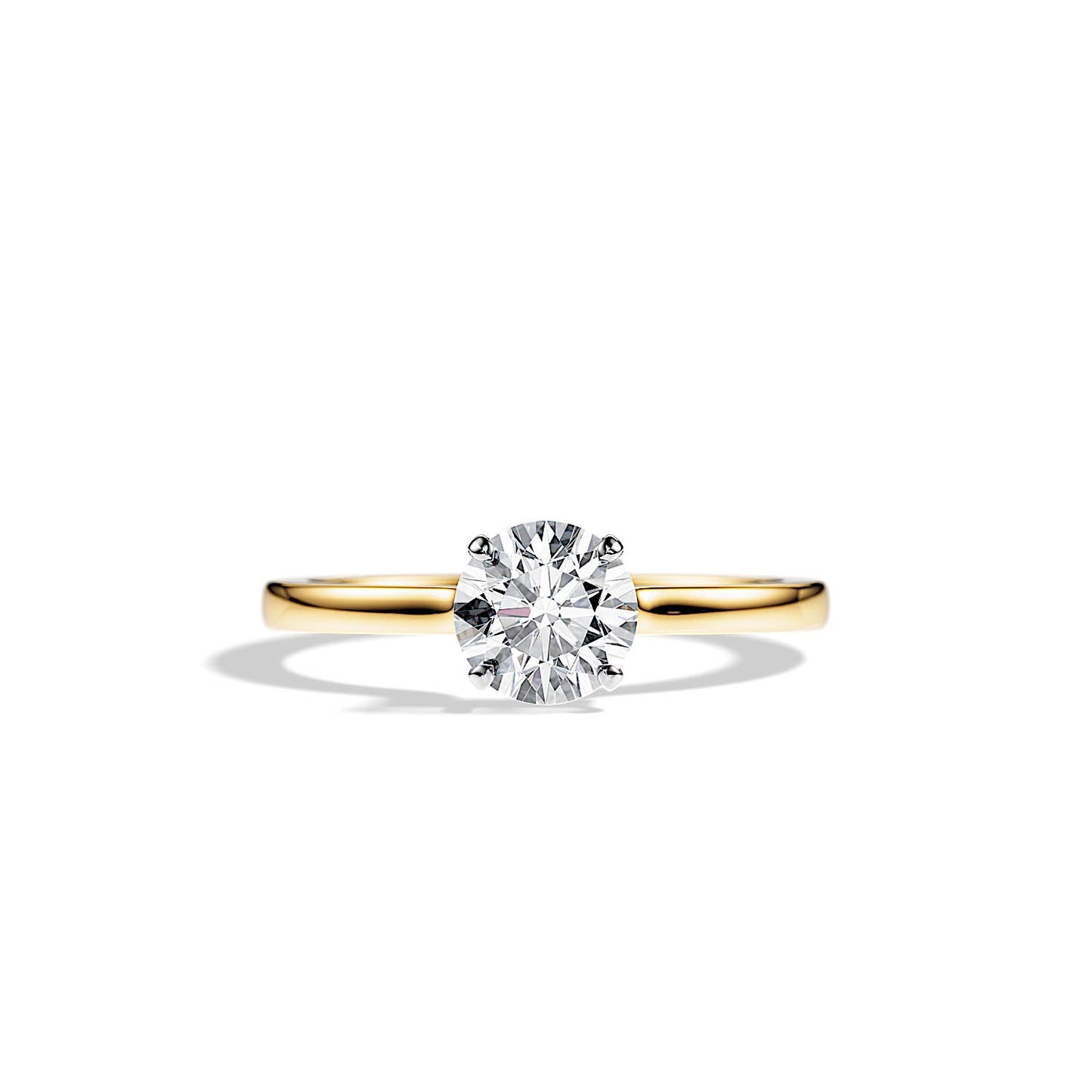 1.0 CT Round Cut Moissanite Hidden Halo Engagement Ring