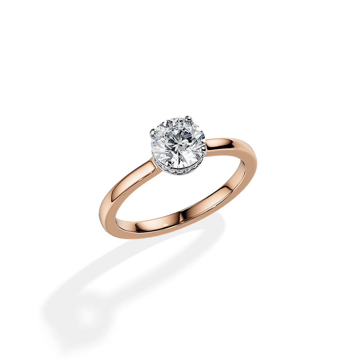 1.0 CT Round Cut Moissanite Hidden Halo Engagement Ring