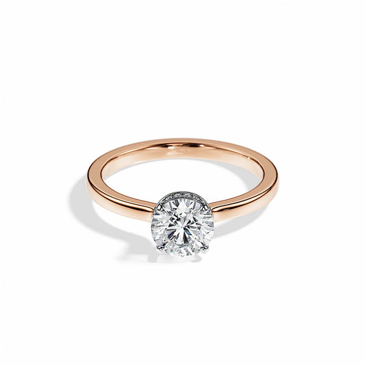 1.0 CT Round Cut Moissanite Hidden Halo Engagement Ring