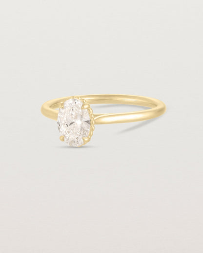 anne_oval_cut_lab_diamond_dotted_rail_solitaire_engagement_ring_3