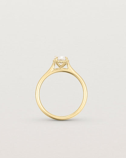 anne_oval_cut_lab_diamond_dotted_rail_solitaire_engagement_ring_5