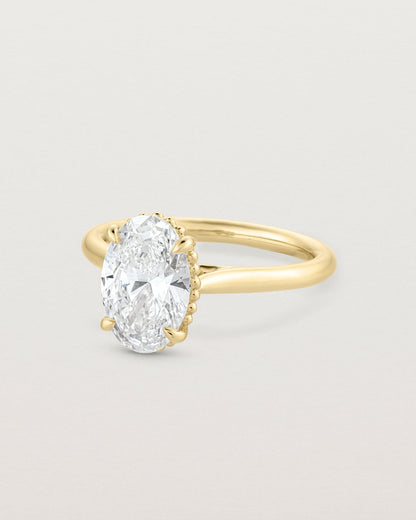 anne_oval_cut_lab_diamond_dotted_rail_solitaire_engagement_ring_7
