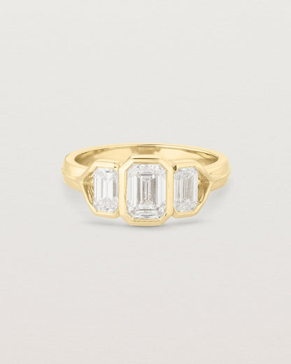 annie_0_82_ct_emerald_cut_lab_diamond_trio_engagement_ring_1