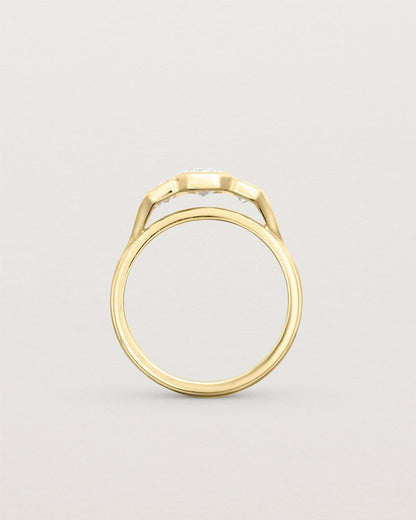 annie_0_82_ct_emerald_cut_lab_diamond_trio_engagement_ring_5