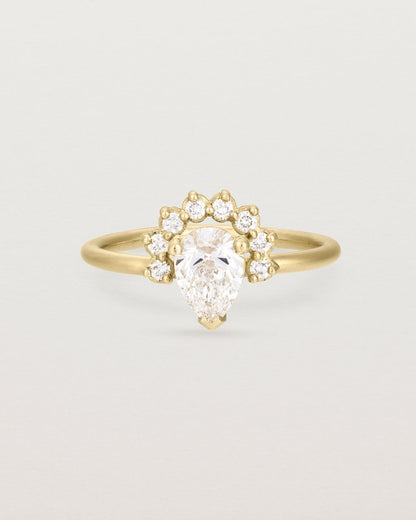 barbara_1_ct_pear_cut_lab_diamond_half_halo_engagement_ring_1