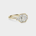 frances_2_98_ct_asscher_cut_lab_diamond_three_stone_engagement_ring_2