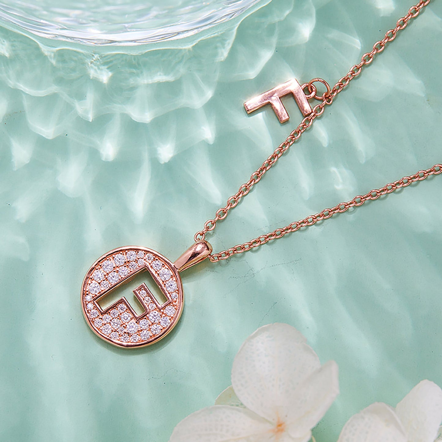 Customized "F" Letter Moissanite Diamond Necklace - farrellouise