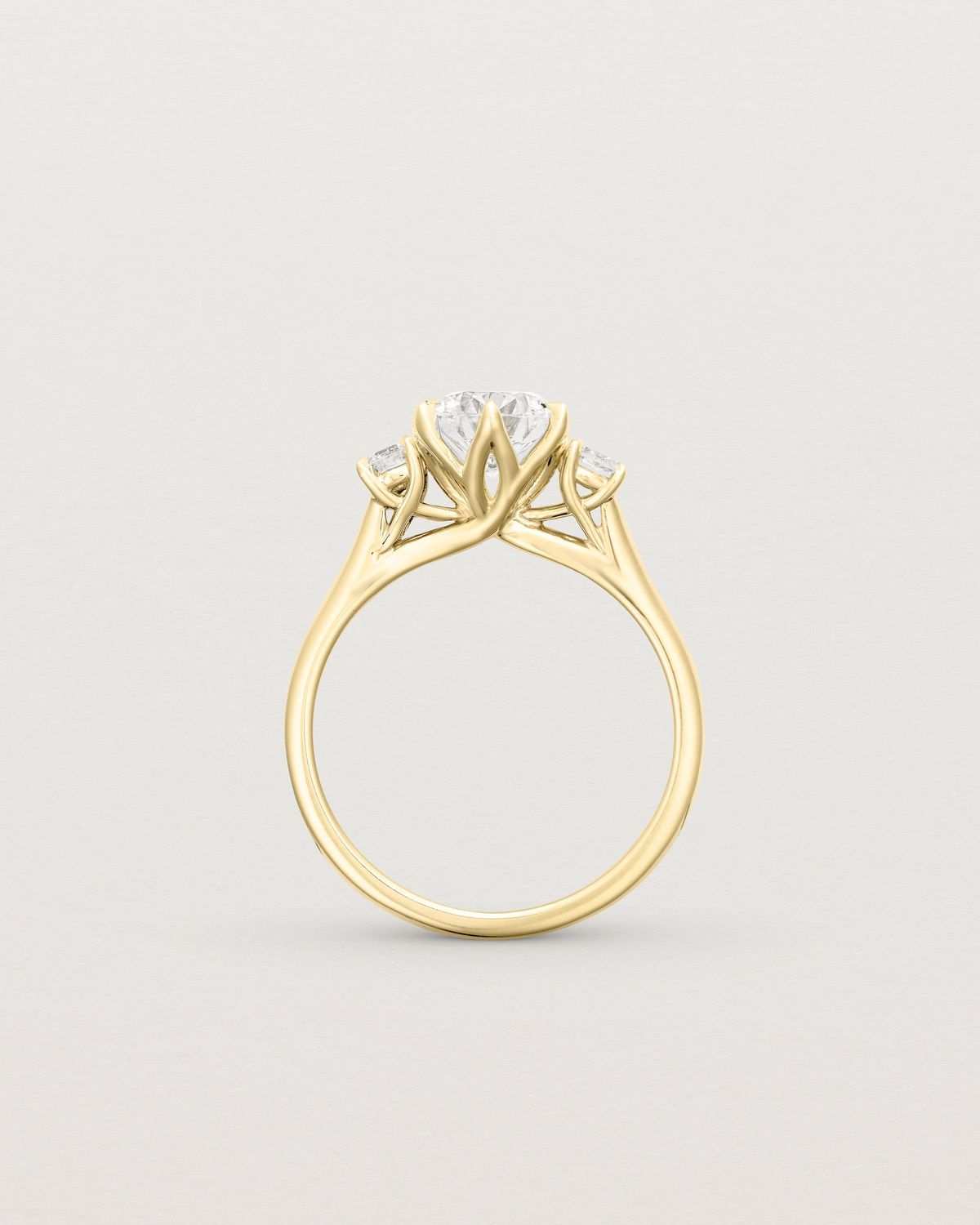 joyce_1_ct_round_cut_lab_diamond_trilogy_engagement_ring_4