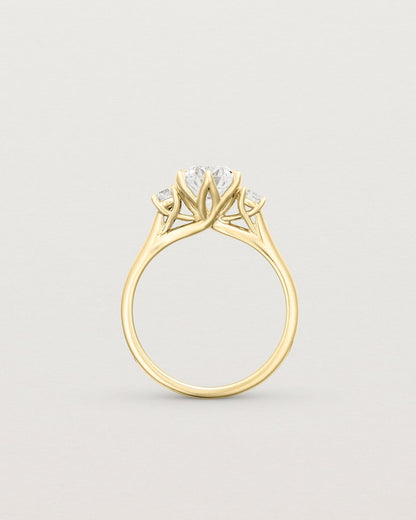 joyce_1_ct_round_cut_lab_diamond_trilogy_engagement_ring_4