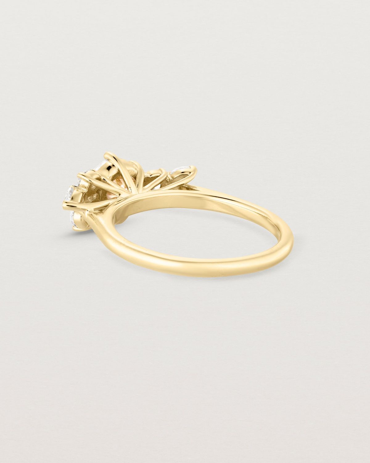 maxine_1_ct_round_cut_lab_diamond_cluster_engagement_ring_4